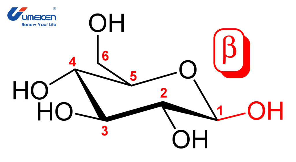 Các phân tử cấu tạo nên Beta Glucan