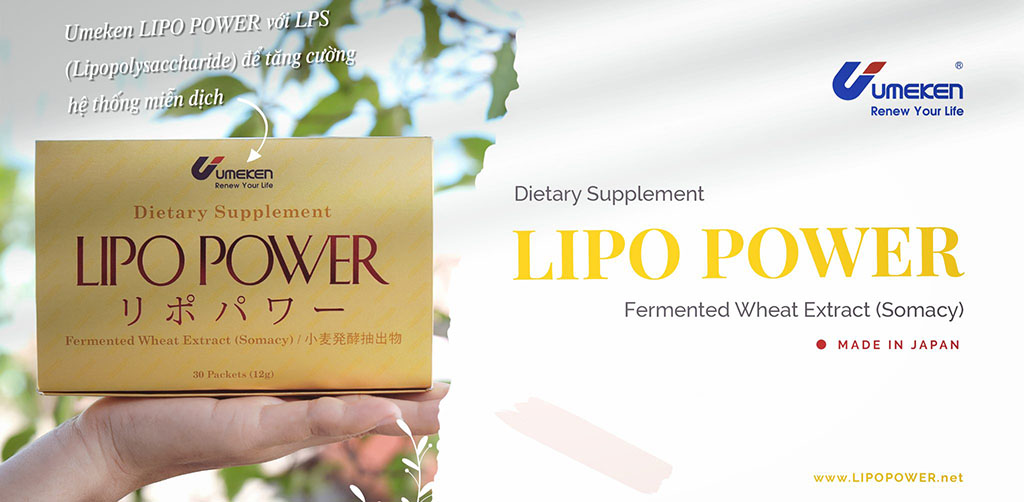 Thực phẩm bảo vệ sức khỏe LIPO POWER với thành phần chính LPS