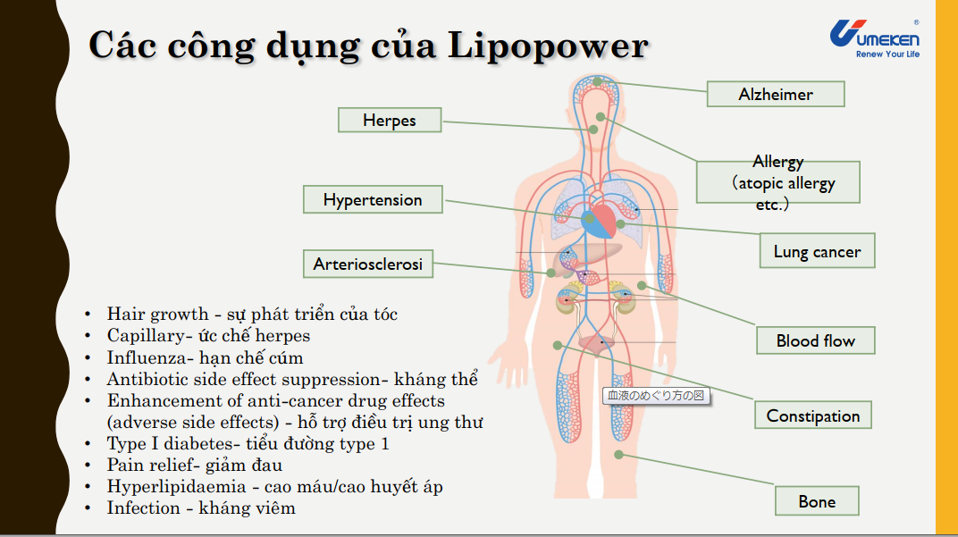 Tăng cường hệ miễn dịch với Lipo Power